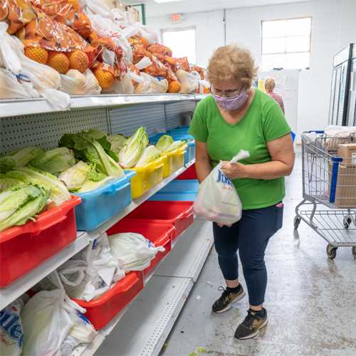 Woman volunteer stocking lettuce, apples, and onions on the shelves of Families Matter Food Pantry
